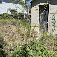 Lawn-Cleanup-in-Conway-SC 5